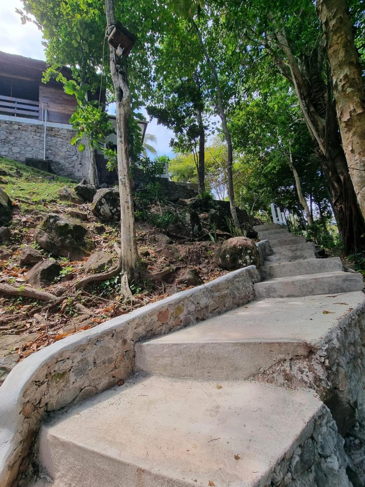 Treetop Guesthouse And Bungalows Sabang  Extérieur photo